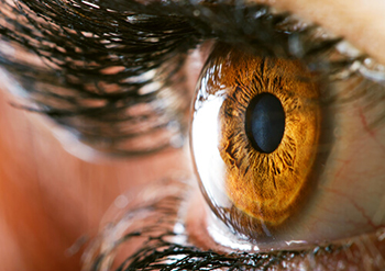 Closeup of an eye