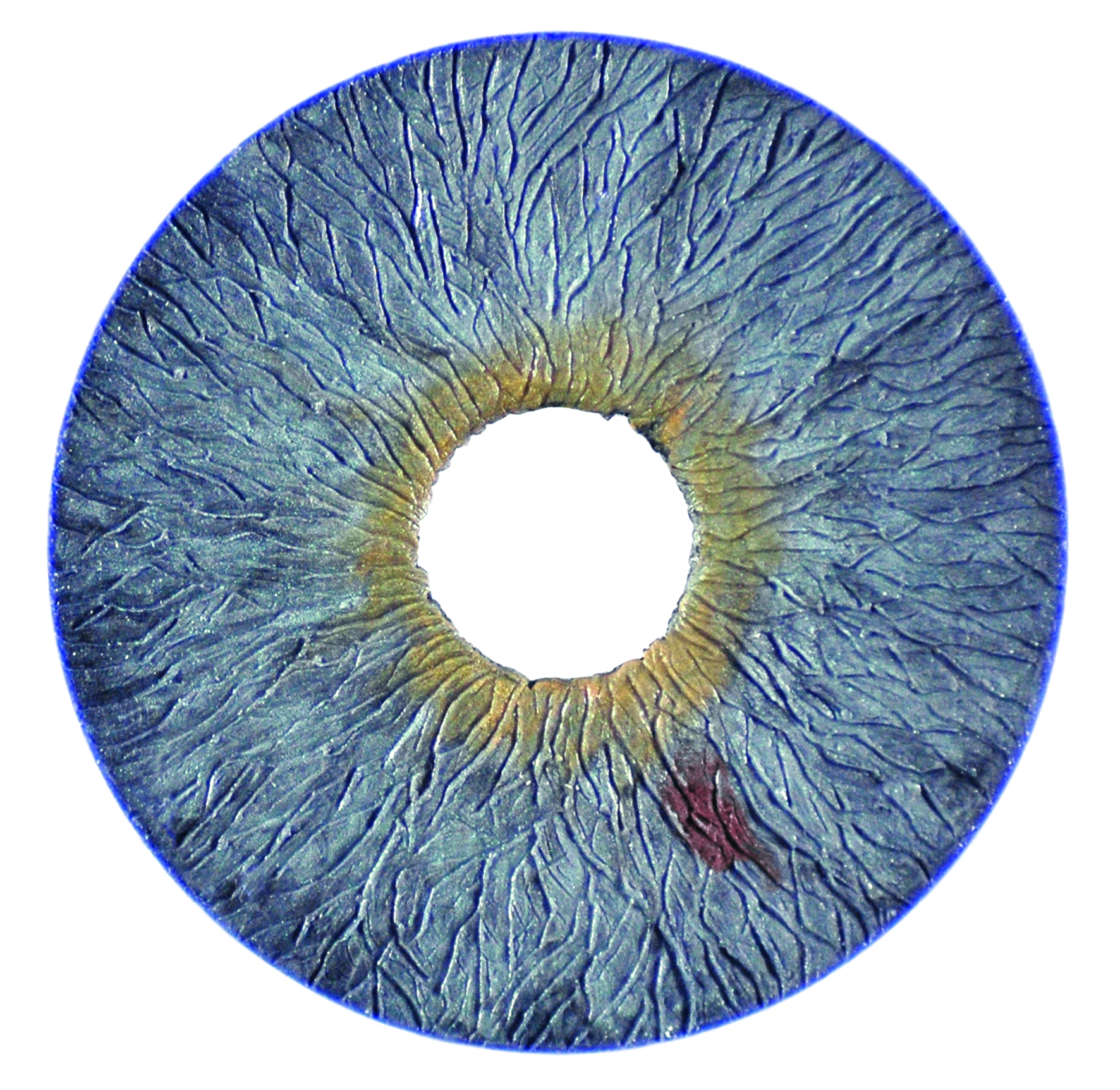 Picture of the Artificial Iris up close.