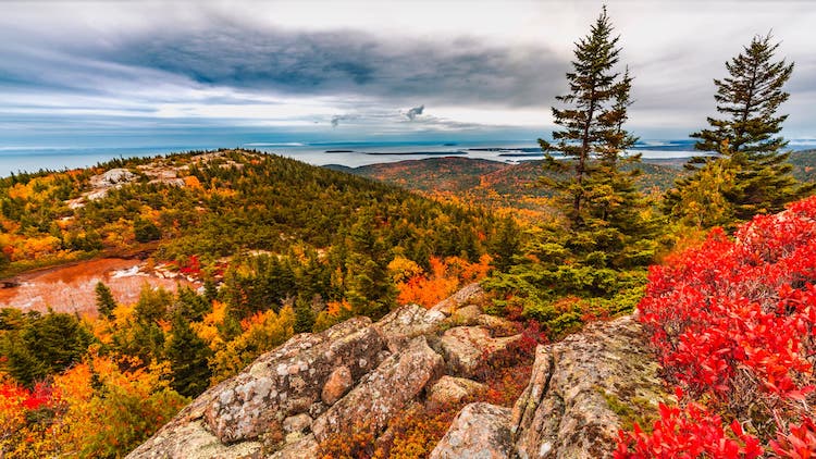 Minnesota Fall Landscape