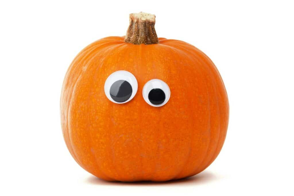 Seasonal Pumpkin with googly eyes